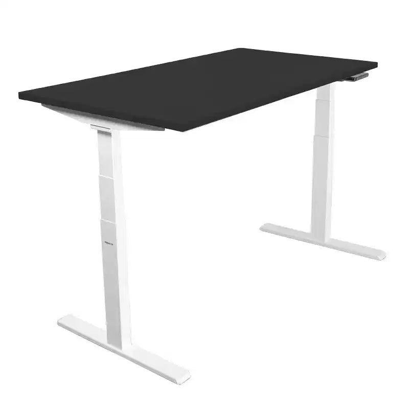 Mount-It! Dual Motor Electric Standing Desk with 55 Tabletop, Black & White